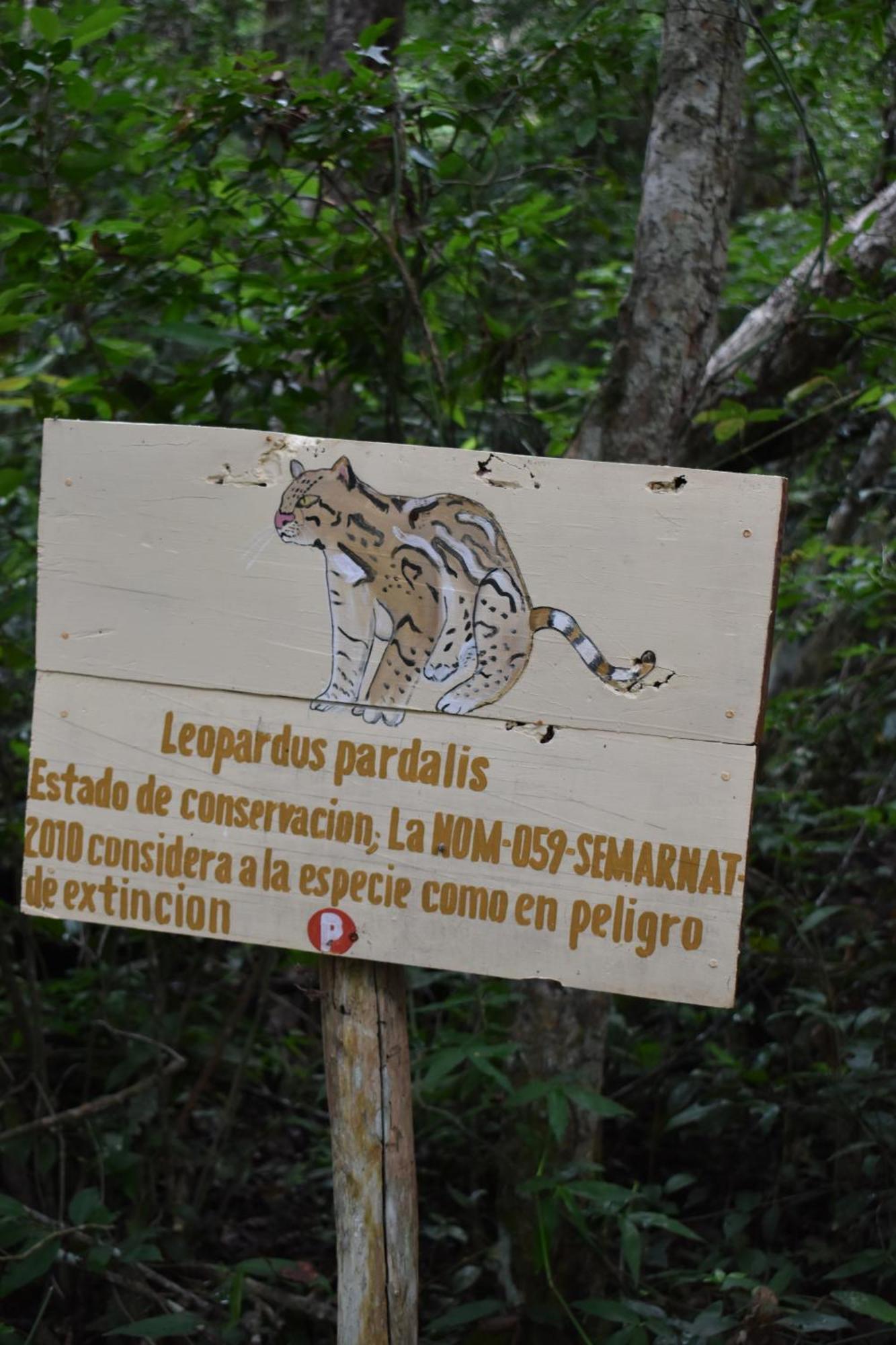 Vila Eco Aldea Kinich Ahau Xpujil Exteriér fotografie